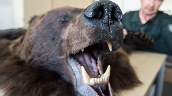 - &copy; picture alliance / Boris Roessler/dpa