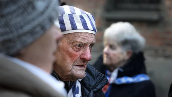 &Uuml;berlebender - &copy; Foto: Czarek Sokolowski/AP/dpa