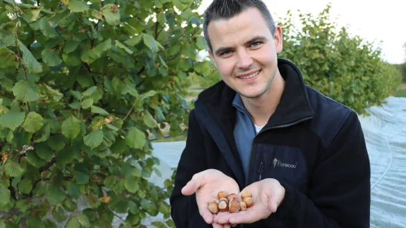 Markus Tegethoff aus Bad Lippspringe zeigt Haselnüsse aus heimischer Produktion. - © Alexander Graßhoff