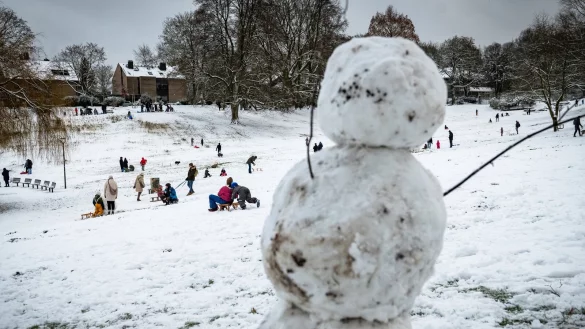 Im Bielefelder Oetkerpark sorgte der Schnee f&uuml;r Begeisterung. - &copy; Barbara Franke