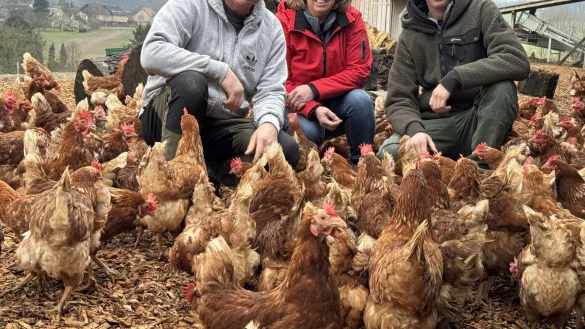 Alexander, Silke und Sebastian Horn (von links) inmitten ihrer Hühner-Schar. - © Sandra Castrup