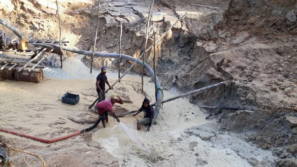 Goldabbau im Regenwald - &copy; Foto: Martina Farmbauer/dpa