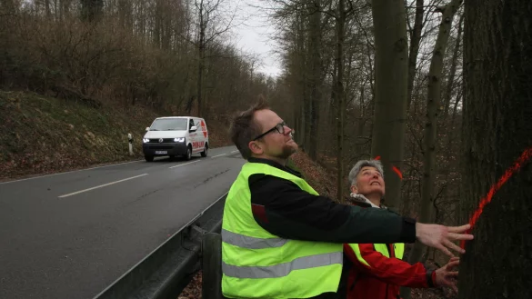 F&ouml;rster Thomas Fritzemeier und die stellvertretende Leiterin der Landesverbands-Forstabteilung, Susanne Hoffmann, an einem zu f&auml;llenden Baum. - &copy; Martin Hostert
