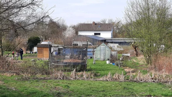 Die Grabeflächen an der Schlüterstraße müssen geräumt werden. - © CDU Lage