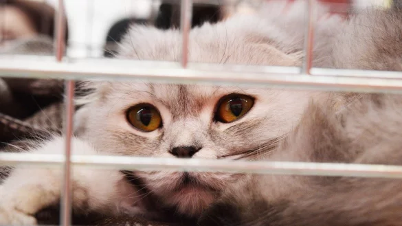 - &copy; Symbolbild: Pixabay