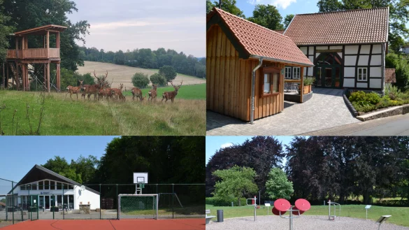Von zahlreichen Leader-Projekten k&ouml;nnen die Menschen in Nordlippe profitieren. Dazu z&auml;hlen die Aussichtsplattform am Sikawildgehege in Schwelentrup, das Tempelhaus in Talle, der Generationentreff am Tennishaus in B&ouml;singfeld oder die Fitnessanlage in der Faulen Wiese in Barntrup (vonh oben links) - &copy; Fotos: R. Diekmeier, LAG Nordlippe.