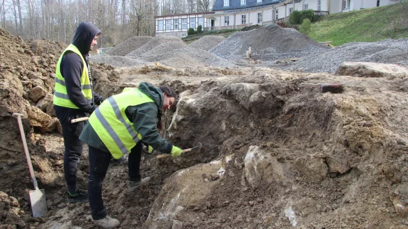 Dominika und Jakob Florczyk legen eine massive Natursteinmauer frei. Sie bildete einst die Einfassung für die barocke Gartenanlage. - © Jana Beckmann