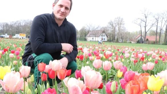 Benedikt Roeren-Wiemers inmitten der Tulpen, die derzeit auf dem Feld an der B64 kurz hinter Schlo&szlig; Neuhaus bl&uuml;hen. - &copy; Holger Kosbab