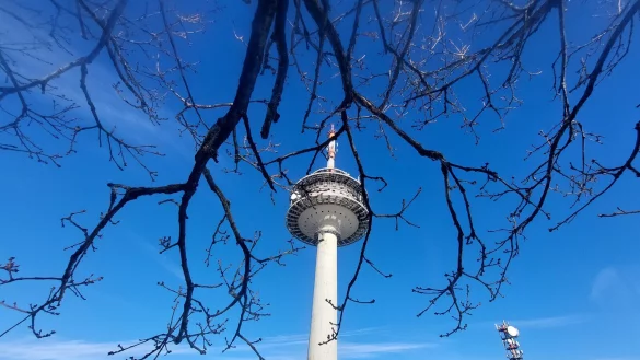 Der K&ouml;terberg war das Ziel der Demonstranten. Dort versammelten sich rund 250 Teilnehmer. - &copy; Symbolbild: Michaela Wei&szlig;e