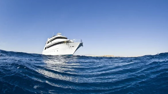 Eine spektakul&auml;re Tauchsafari von Riff zu Riff endete f&uuml;r eine Bielefelderin jetzt in einer Katastrophe. Die Familie geht davon aus, dass die 57-J&auml;hrige tot ist. - &copy; Pixabay/Alex2171