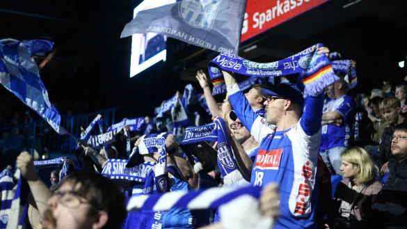 TBV Lemgo Lippe siegt gegen HSG Wetzlar. - &copy; Paul.Cohen