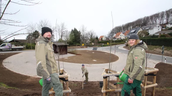 Gr&uuml;narbeiten f&uuml;hren Eugen Wiebe (von links), David Harrack und Jonas Sauer von der Kalletaler Firma Reineke aus. Sie haben unter anderem drei S&auml;ulenbuchen eingepflanzt. In der Mitte der Buswendeschleife sind Samen f&uuml;r eine Bl&uuml;hwiese einges&auml;t. - &copy; Jens Rademacher