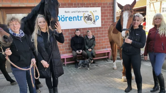 Der neue Vorstand des Reit- und Fahrvereins D&ouml;rentrup um (von links) Sabine Klaas (2. Kassenwartin), Romanie K&ouml;nig (Gesch&auml;ftsf&uuml;hrerin), Stefan Eikermann (Kassenwart), Thea Antkewitz (Pressewartin), Jasmin Bohn (stellvertretende Vorsitzende) und Eveline Sigges (Schriftf&uuml;hrerin). Auf dem Foto fehlen: Vorsitzender Steve Menzel, Jugendwartin Tanja Menzel und Tierschutzbeauftragte Heike Skowronek. - &copy; Sylvia Frevert