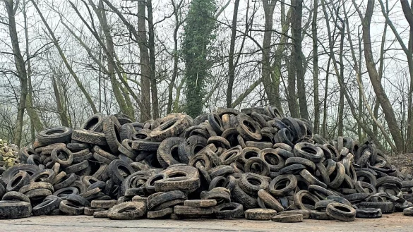 Etwa 500 Reifen waren es am Ende, die der Garten- und Landschaftsbau Bethel aus der Erde holte. - © Kurt Ehmke