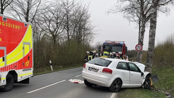 Der Fahrer des Audis wurde bei dem heftigen Aufprall schwer verletzt. - &copy; Silke Buhrmester