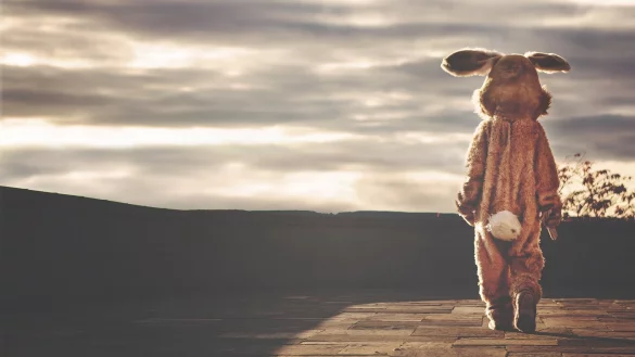 In den Osterferien ist im AWO Kastanienhaus am Wall einiges los. - &copy; Symbolbild: Pixabay