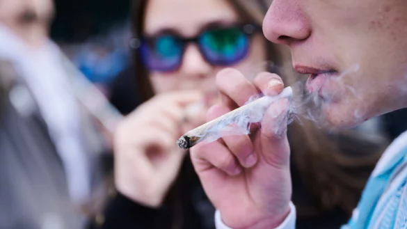 Der Eigenanbau von Cannabis ist f&uuml;r Erwachsene in Deutschland bald schon erlaubt. - &copy; Annette Riedl/dpa