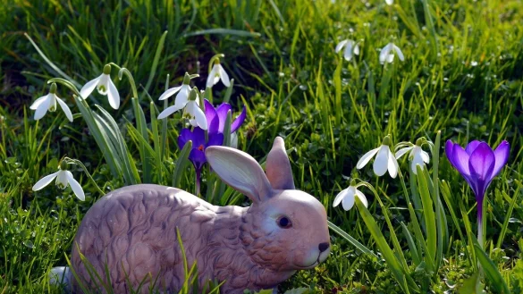 Die AWO Langenholzhausen hat ihr Fr&uuml;hlingsfest gefeiert. - &copy; Symbolbild Pixabay