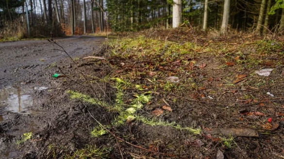 Die Polizei hat die Unfallstelle markiert. - &copy; Freitag TV