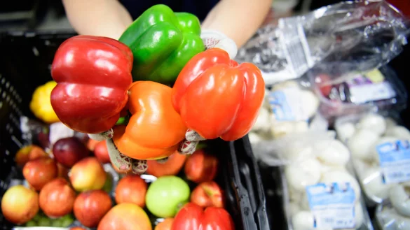 Zu gut f&uuml;r die Tonne: Verbraucher k&ouml;nnen &uuml;ber eine App Lebensmittelboxen von Superm&auml;rkten f&uuml;r wenig Geld kaufen. - &copy; Soeren Stache