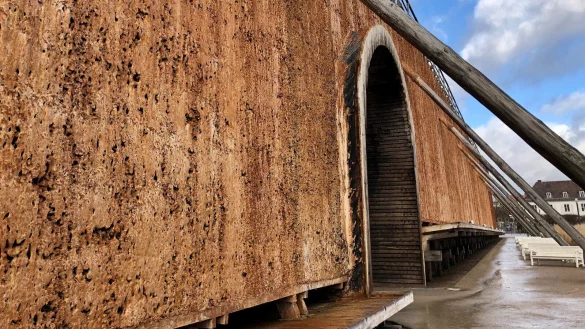 Der Schwarzdorn an den Gradierwerken wird in den kommenden Jahren St&uuml;ck f&uuml;r St&uuml;ck getauscht werden m&uuml;ssen. - &copy; Alexandra Schaller