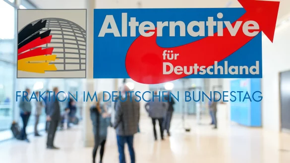 Vor zehn Jahren wurde die Alternative für Deutschland (AfD) gegründet. - © dpa