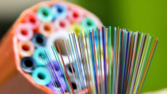 Die Firma Sewikom m&ouml;chte in Detmold Glasfaser bis ans Haus verlegen. Doch nicht alle Detmolder sind mit der bisherigen Arbeitsweise des Unternehmens zufrieden - &copy; Symbolbild: Jan Woitas/dpa