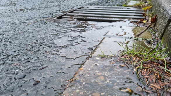Regen- und Brauchwasser soll in Zukunft besser genutzt werden. - &copy; Carolin Brokmann-F&ouml;rster