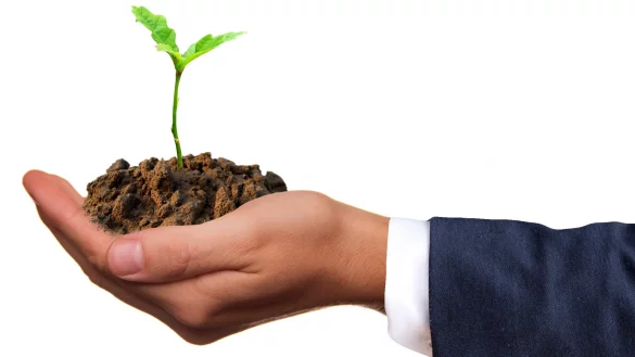 Die Gr&uuml;nen fordern, bei der Bauplanung mehr Gewicht auf den Klimaschutz zu legen. - &copy; Pixabay