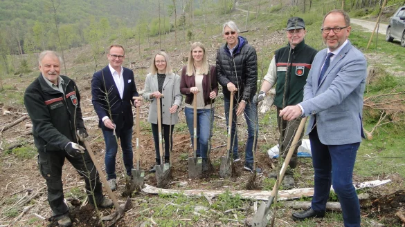 Bringen eigenh&auml;ndig Setzlinge in den Boden (von links): Hans-Ulrich Braun (Leiter Forstabteilung), Jens Beining (CEO Wortmann), Olga Wedel, Sarah Schr&ouml;der, Andreas Burmeister (Projektteam Wortmann), Stefan Schreiber (Revierf&ouml;rster Hiddesen), J&ouml;rg D&uuml;nning-Gast (Verbandsvorsteher Landesverband Lippe). - &copy; Hajo G&auml;rtner