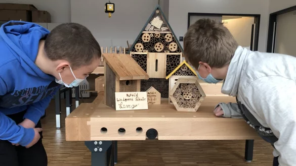 Bei der Einweihungsfeier der Astrid-Lindgren-Schule k&ouml;nnen unter anderem Insektenhotels gebaut werden. - &copy; Kreis Lippe