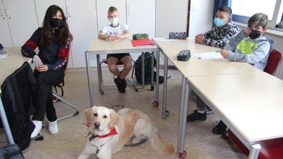 Soraya, Max, Silvestar und Till (von links) schauen zu, wie Frieda aufs Wort gehorcht. Sie finden es toll, wenn der Hund w&auml;hrend der Unterrichtsstunden dabei ist. - &copy; Cordula Gr&ouml;ne(LZ)