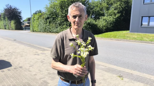 Reinhold Kruse h&auml;lt einen Strau&szlig; des Einj&auml;hrigen Berufkrauts in der Hand. - &copy; Ewald Thies/NABU
