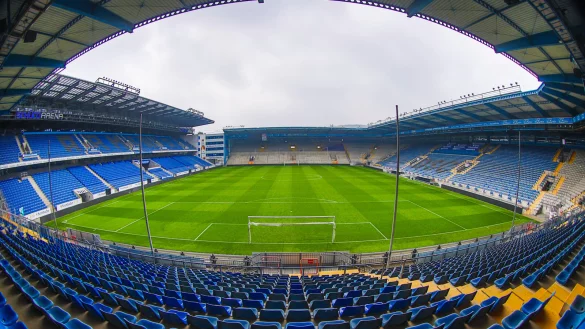 - &copy; Sarah Jonek