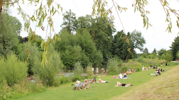 Einige Menschen genie&szlig;en am fr&uuml;hen Abend das sch&ouml;ne Wetter am Bega Beach und halten ihre F&uuml;&szlig;e in die Bega. - &copy; Chiara Wibbeke