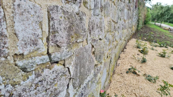 - &copy; Marianne Schwarzer