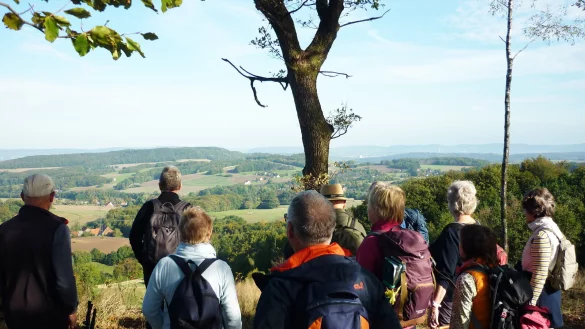 Eine Impression im Herbst 2023: Wanderer am Bonstapel. - &copy; Lippe Tourismus & Marketing GmbH