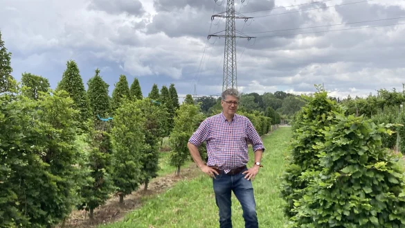 - &copy; Cordula Gr&ouml;ne