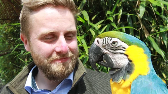 Gute Kumpels: Marc-Philip Eckstein mit Gelbbrustara "Sven": - © Martin Hostert