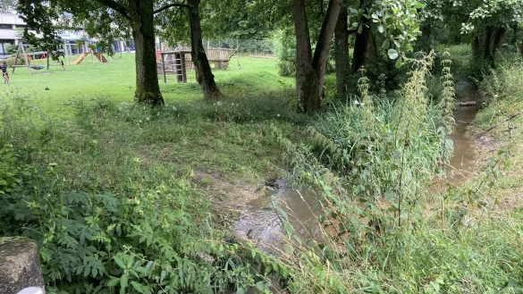 Neben dem Spielplatz am Badehaus k&ouml;nnen Kinder am Bach nahe dem k&uuml;nftigen Mehrgenerationenpark spielen. Die Br&uuml;cke muss noch mit einem Gel&auml;nder versehen werden. - &copy; Cordula Gr&ouml;ne