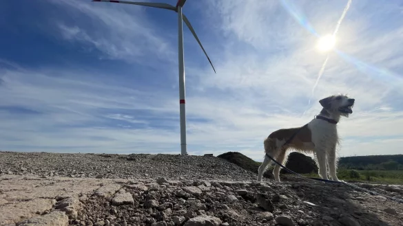 Die Windr&auml;der sind fertig, die Arbeiter weg. Was bleibt, sind immense Sch&auml;den an den Wirtschaftswegen, beliebte Wege f&uuml;r die Gassirunde. - &copy; Silke Buhrmester