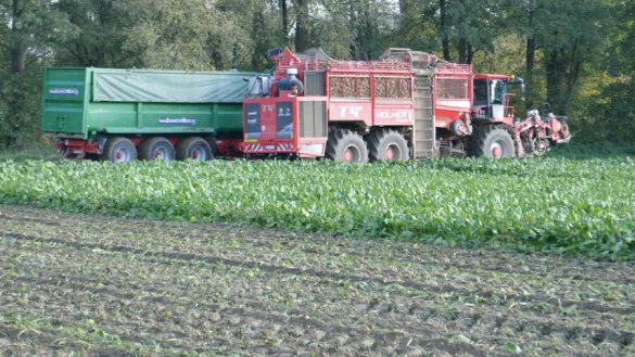Ein R&uuml;benroder mit 60 Tonnen Gewicht verursacht nach Angaben des BUND eine enorme Bodenverdichtung. - &copy; BUND Lippe