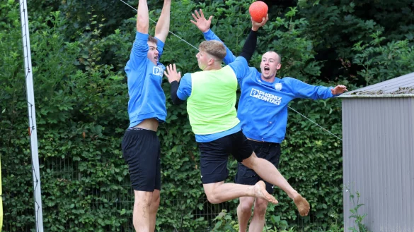 TBV Lemgo Lippe - © Paul Cohen