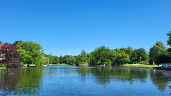 Die Font&auml;ne auf dem Kurparksee ist kaputt. Eine neue Anlage ist bestellt und soll nach Eintreffen schnellstm&ouml;glich installiert werden. - &copy; Freya K&ouml;hring