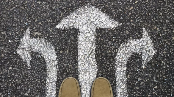 Bei der Jugendwahl in Nordlippe lag die AfD weit vorne. - &copy; Symbolbild: Pixabay