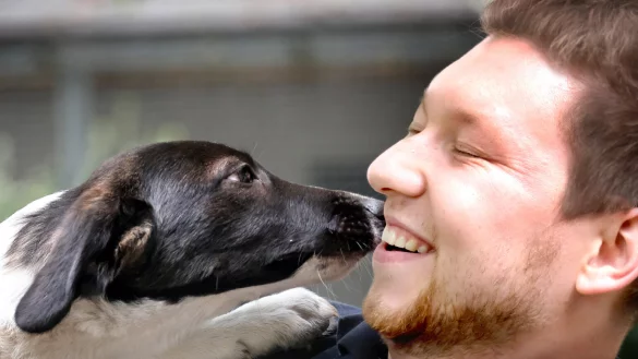 Der kleine Cooper ist erst sechs Monate alt und stammt aus Rum&auml;nien. Auf dem Arm von Tierpfleger Julian Otte zeigt der Welpe sein gro&szlig;es Herz f&uuml;r Menschen. Cooper sucht noch ein Zuhause. - &copy; Andreas Fr&uuml;cht