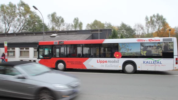 Zu Fu&szlig;, mit dem Bus oder mit dem Auto: Das Archivbild aus Hohenhausen zeigt drei Arten, mobil zu sein. Wie Mobilit&auml;t in Kalletal k&uuml;nftig gestaltet werden kann, soll ein Konzept zeigen, das jetzt entwickelt wird. - &copy; Jens Rademacher