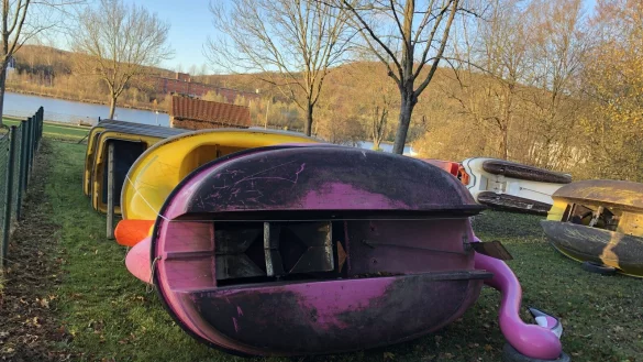 Am Ufer des Schiedersees liegen Pelikan und Ente im Winterschlaf.&nbsp; - &copy; Silke Buhrmester