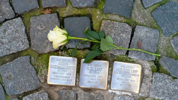 Eine Rose liegt neben drei Stolpersteinen in der Bamberger Innenstadt. So &ouml;hnlich k&ouml;nnte es in Blomberg auch bald aussehen.&nbsp; - &copy; (c) Copyright 2021, dpa (www.dpa.de). Alle Rechte vorbehalten