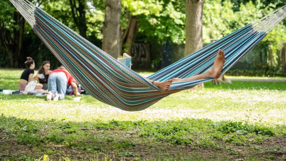 Ein Mann liegt lesend im Sonnenschein in einer H&auml;ngematte, die er zwischen zwei B&auml;umen gespannt hat. - &copy; picture alliance/dpa